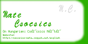 mate csocsics business card
